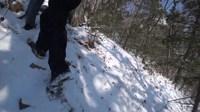 Зимняя прогулка в лесу, Приморский край 12 02 2022 смотреть онлайн