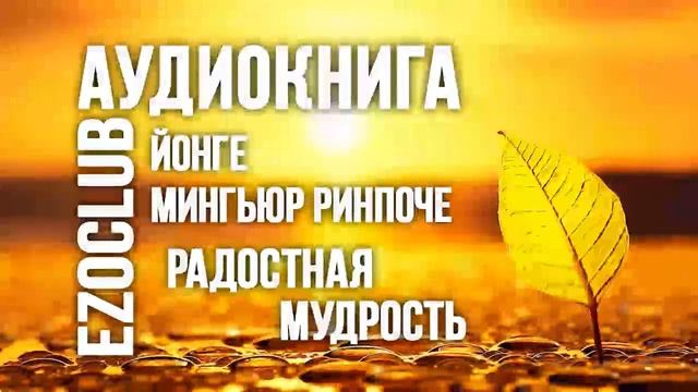 Йонге Мингьюр Ринпоче - Радостная мудрость. Аудиокнига. Часть 1 смотреть онлайн