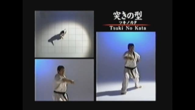 KATA SHINKYOKUSHIN KARATE смотреть онлайн