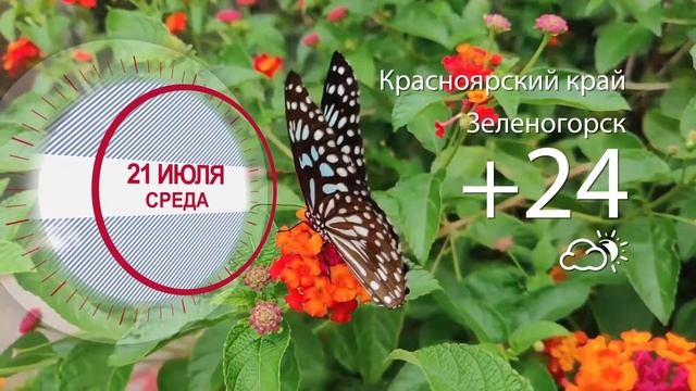 Погода в Красноярском крае на 21.07.2021 смотреть онлайн