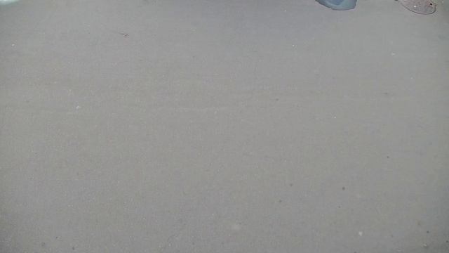 CARCAM 5M AI Tracking Speed Dome IP Camera 5986 / Пример съёмки