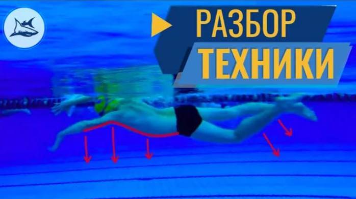 РАЗБОР ТЕХНИКИ ПЛАВАНИЯ КРОЛЕМ. ГЛАВНЫЕ ОШИБКИ ЛЮБИТЕЛЯ смотреть онлайн