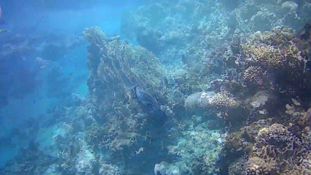 Правда о пляже отеля Sultan Gardens Resort 5*. Египет, Шарм-эль-Шейх. Октябрь 2019