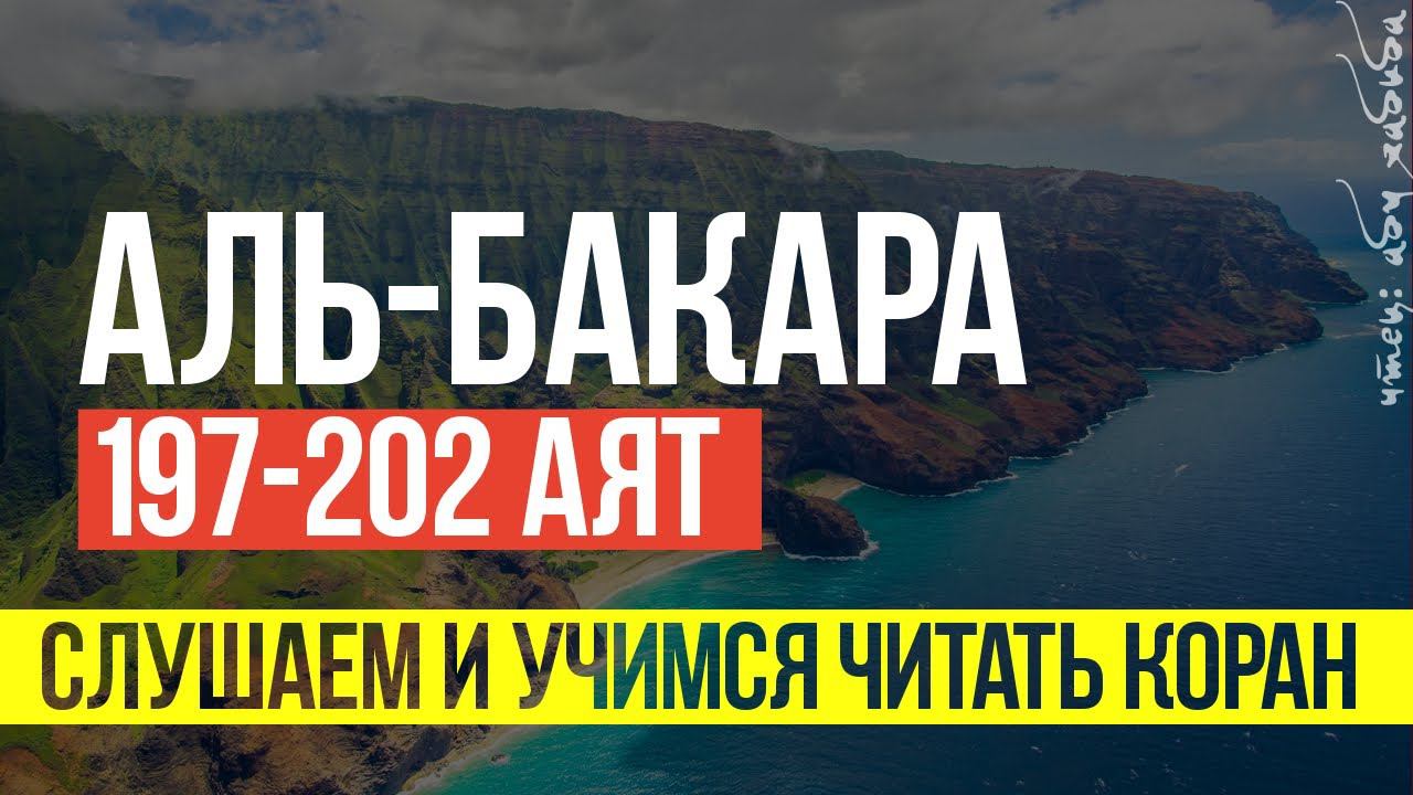 Коран. Сура аль Бакара 197 -202 аят смотреть онлайн