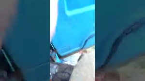 Отпугивание ворон звуками хищьных птиц ?