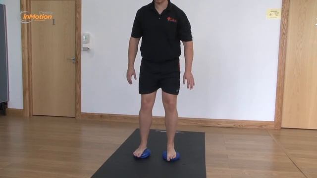 How To Use Therapy In Motion Balance Pods