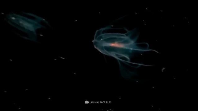 Who Lives at the Bottom of the Bermuda Triangle? смотреть онлайн