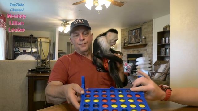 Pet Monkey Plays Connect 4 Game | Family Game Day | Family Fun смотреть онлайн