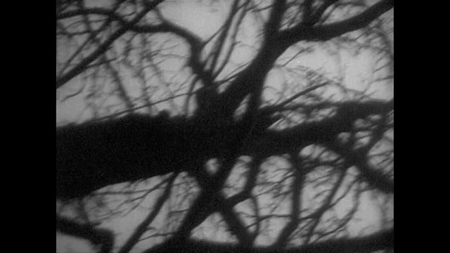 The Fall of the House of Usher (1928 Epstein). Not So Silent Cinema смотреть онлайн