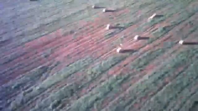 полёты около пруда за хутором смотреть онлайн