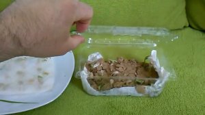 ПРОСТО. Два способа проращивания семян тыквы