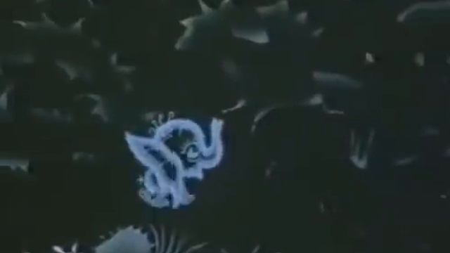 Штуша Кутуша Первобытная история 1975