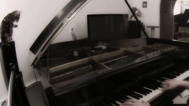 Тризна (А. Розенбаум) смотреть онлайн