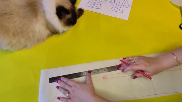 БЛУЗКА С ВОЛАНОМ / ЦЕЛЬНОКРОЕНОЙ ПЛАНКОЙ / КАК СШИТЬ БЛУЗКУ #блузка #как сшить блузку