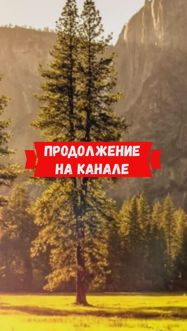 Он уже хотел перенести разговор на завтра, но вспомнил про дочь #shorts смотреть онлайн