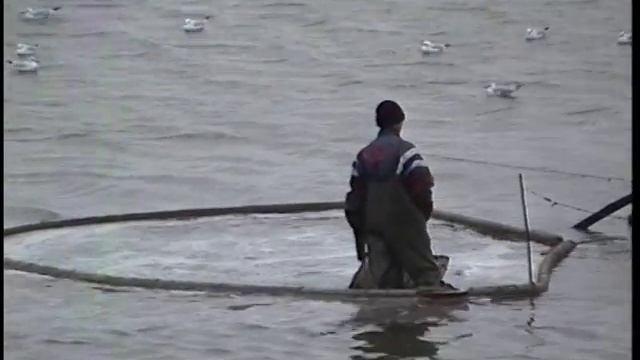 © Незаконная добыча мотыля в озере пересыпи Тилигульского лимана. 2003 год. смотреть онлайн