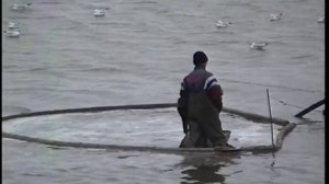 © Незаконная добыча мотыля в озере пересыпи Тилигульского лимана. 2003 год.