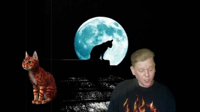 Стихотворение "Грустный кот". Читает Автор. смотреть онлайн