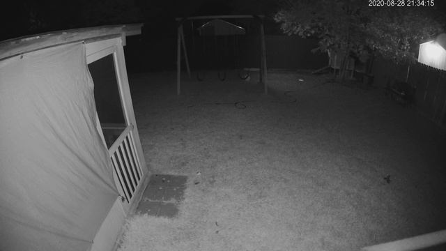 Raccoon Attack on Chickens смотреть онлайн