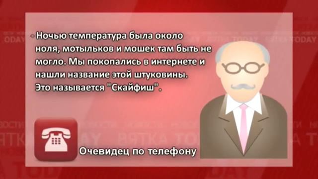 В Кирове засняли скайфиш смотреть онлайн