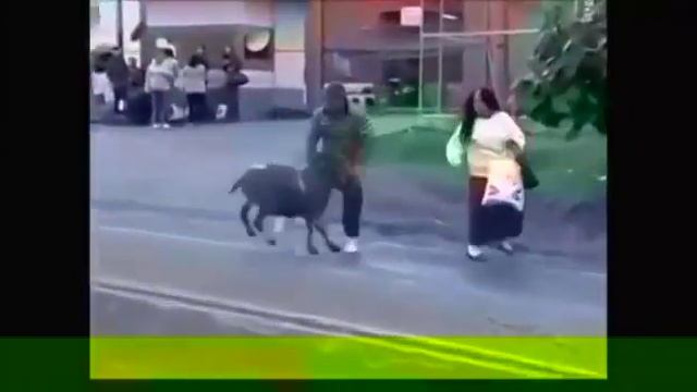 РУССКИЙ БАРАН!!! смотреть онлайн