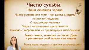 Число судьбы. Как рассчитать по нумерологии свое главное число в жизни.