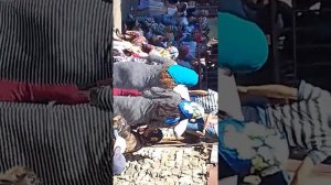 Бежта свадьба