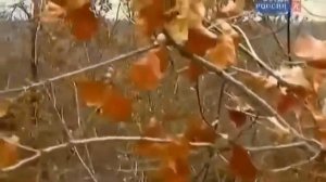 Тайны древних цивилизаций Невероятные артефакты