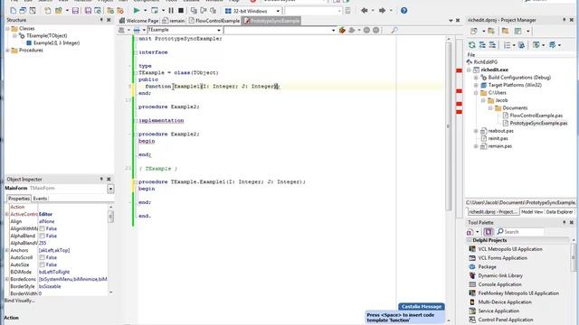 Castalia for Delphi demonstration by Jacob Thurman (TwoDesk Software) смотреть онлайн