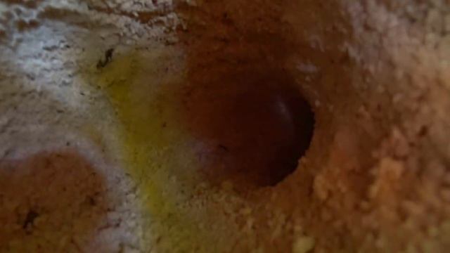 Выживание на необитаемом острове.5-Часть/2-Сезон.Строю плот из мусора.Ловлю ската. смотреть онлайн