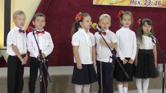 Иду по широкому полю и вижу вокруг чудеса смотреть онлайн