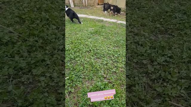 САО дети д.р.28.02.22. Если еще друга не выбрали, тогда Вам к нам.