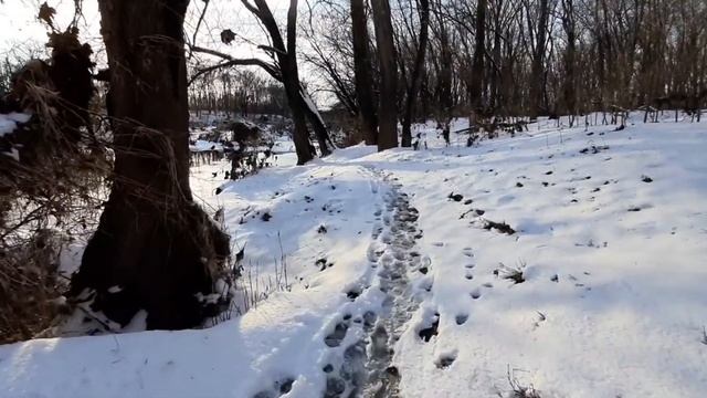 ДЕКАБРЬ-КАКИМ БУДЕТ, КАК ИСПОЛНИТЬ ЖЕЛАНИЯ смотреть онлайн