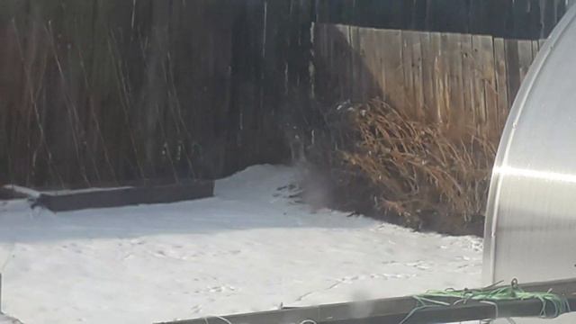 Деревенская 🔆✳🔆жизнь в 🎥обьективе 18.11.2022.Жизнь в 🏡деревне в компании 🐤.Ремонт закончен урра🤗🏡✌ смотреть онлайн