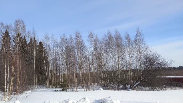 С днем Защитника Отечества!