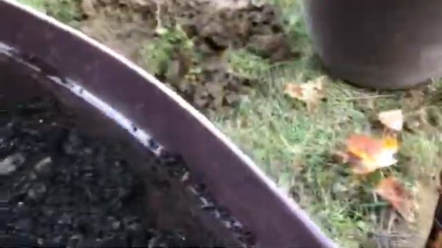 ВРЕМЯ САЖАТЬ ТЮЛЬПАНЫ ?новая грядка смотреть онлайн