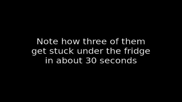 WowWee Bugbots смотреть онлайн