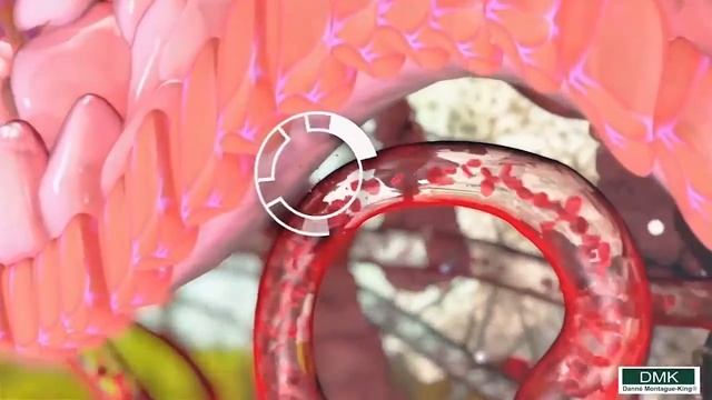 Механизм действия ферментов мессенджеров  DMK