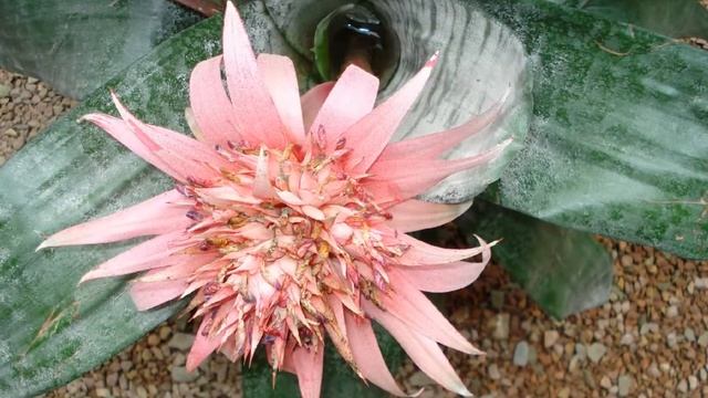 Отдых в Крыму смотреть онлайн