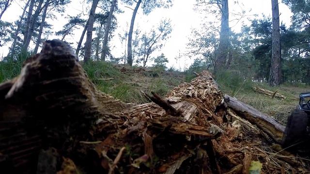 Finding wild willy bonus footage смотреть онлайн