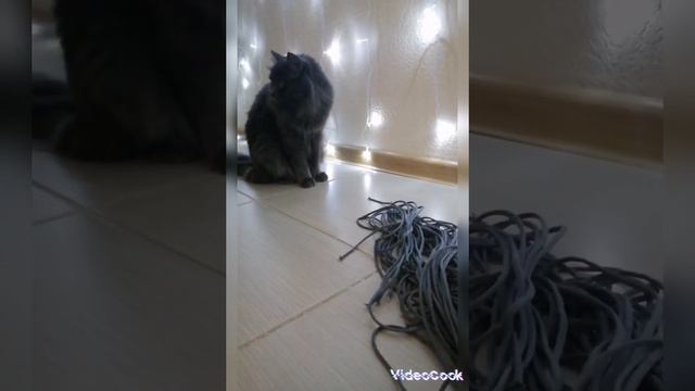 Макраме Лежанка для кошек своими руками 🐱🐈🐱💕 смотреть онлайн