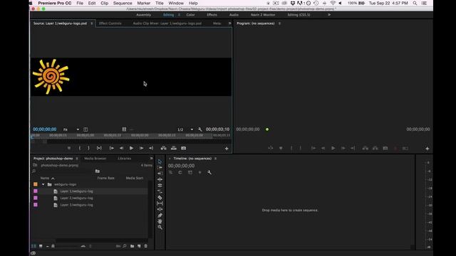 How To Import Adobe Photoshop Files into Adobe Premiere Pro CC in 2023 смотреть онлайн