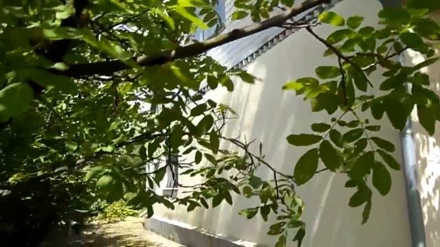 Дача. Отдых на природе. Загородный дом. Лето. смотреть онлайн