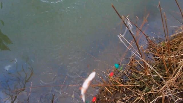 Косынки и экраны в Московской области.Рыбалка в апреле 2020 года