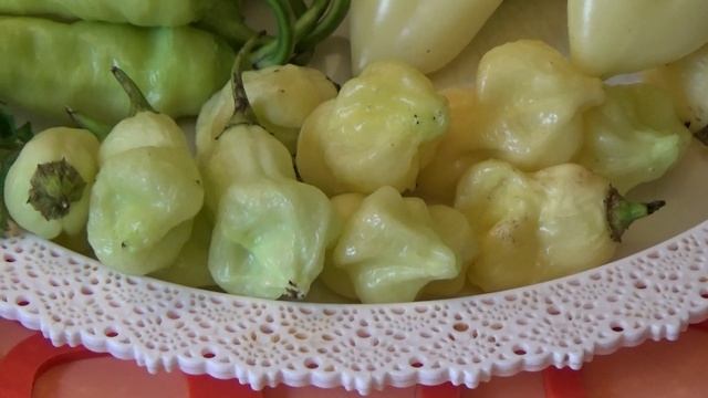 А Вам нравятся овощи сливочного цвета. смотреть онлайн