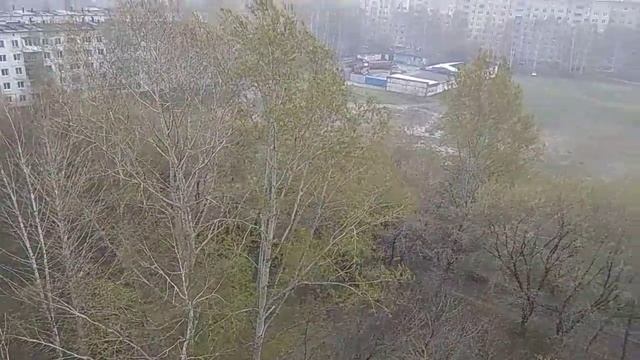 Погода в г. Заринске Алтайский край 19 мая смотреть онлайн