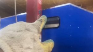 Автодом в прицеп своими руками  Кемпер / вкладыш в прицеп Часть 3