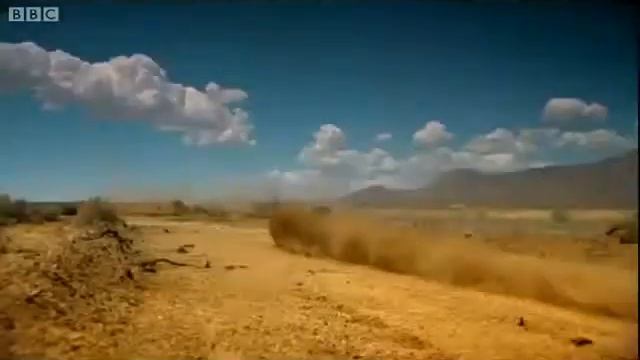 Drum and Bass + Cars смотреть онлайн