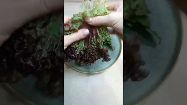 #Shorts Салат с фетой. Свежий летний салат. Рецепт простого салата на ужин. смотреть онлайн