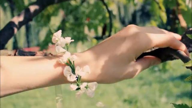 Gypsophila Tiara (Grand/Winding/Dainty)/Bracelet/Botanical Headpiece/Woodland Crown/Wedding Headban смотреть онлайн